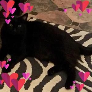 Meet your Posher, Deedee